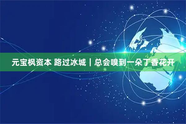 元宝枫资本 路过冰城｜总会嗅到一朵丁香花开